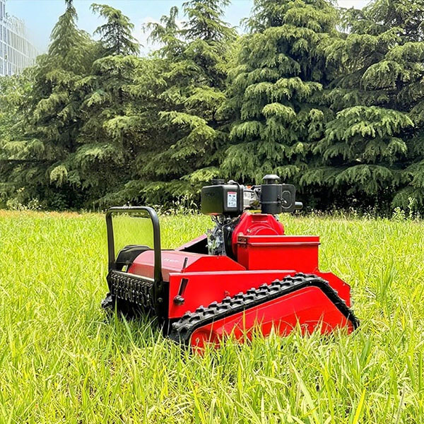 Robotic  Control Lawn Mower