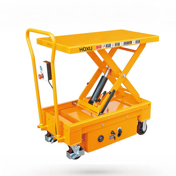 Single/double electric platform truck